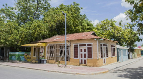 brown and white wooden house near green trees during daytime